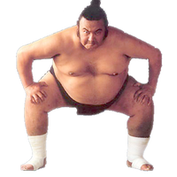 Sumo Transparent PNG Image