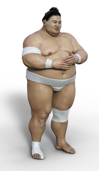 Sumo Transparent PNG Image
