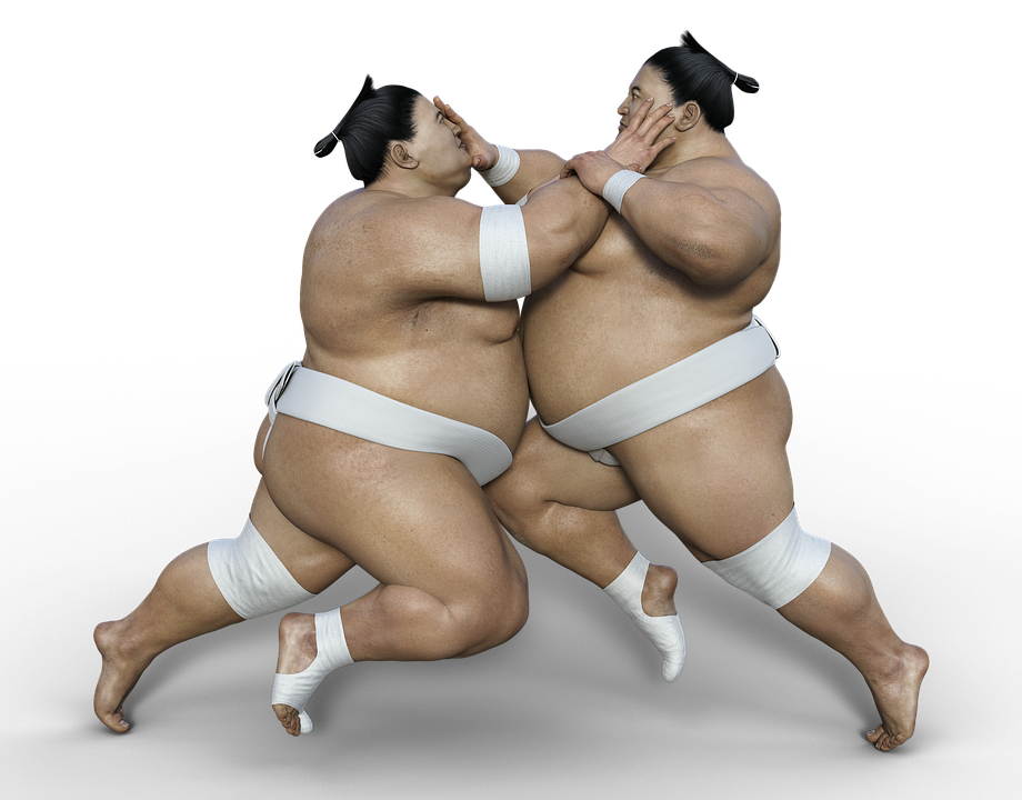 Sumo Transparent PNG Image