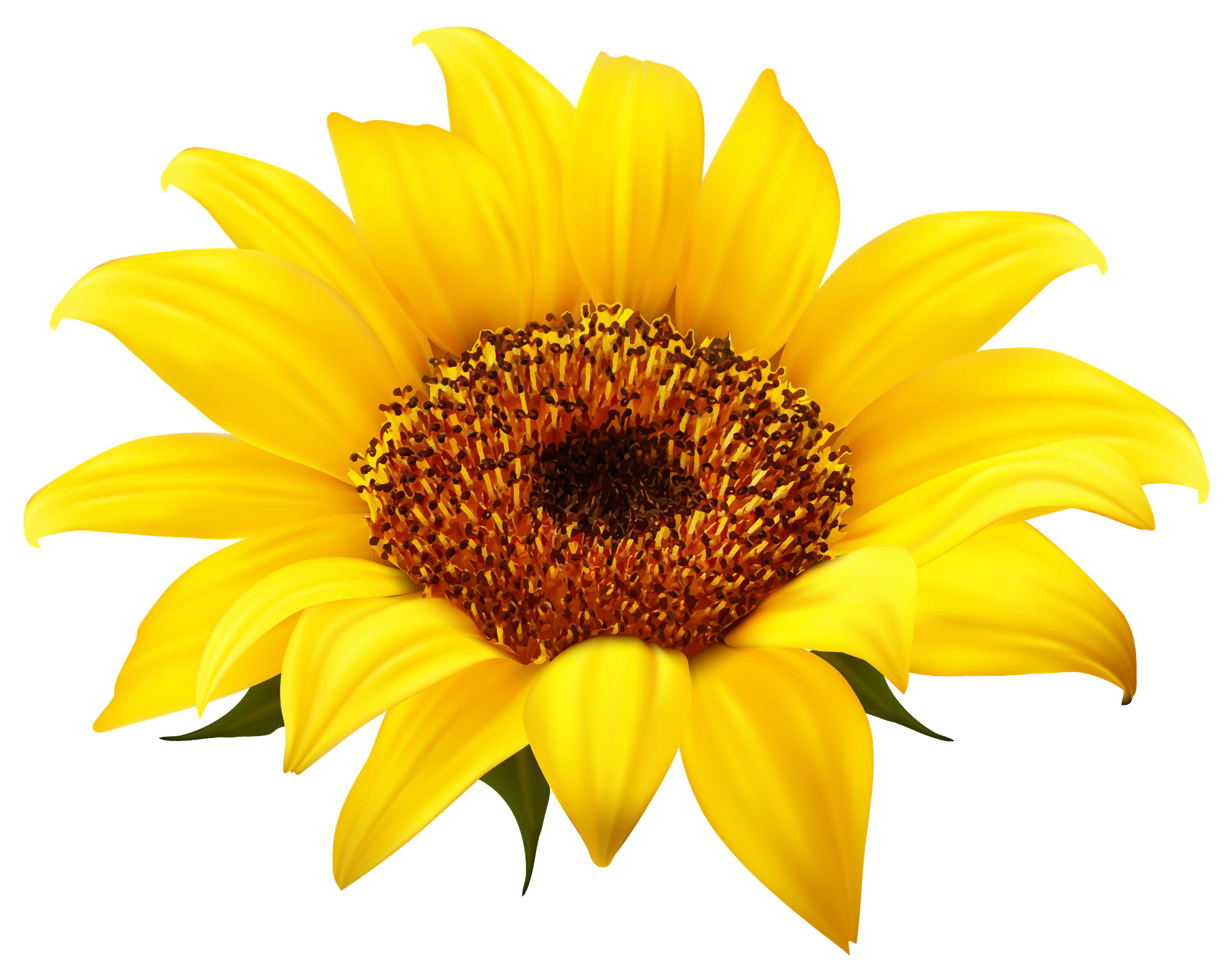 Free Free 223 Sunflower Svg Png SVG PNG EPS DXF File