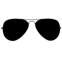 Vector Sunglass Photo