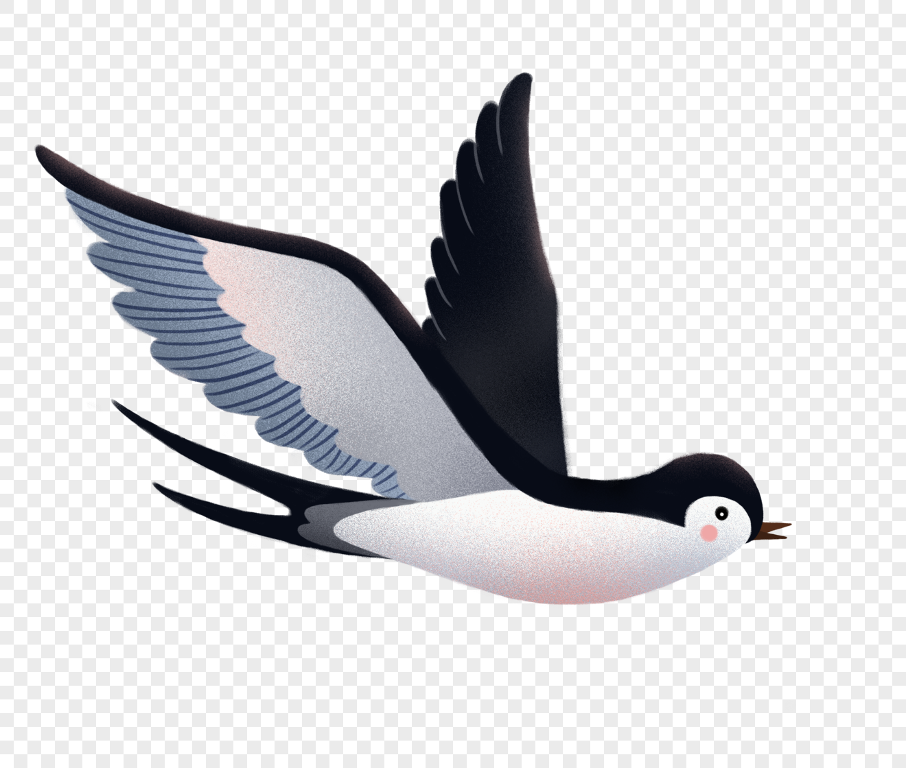 Swallow Transparent PNG Image