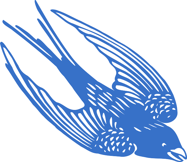 Swallow Transparent PNG Image