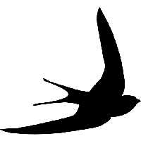 Swallow PNG