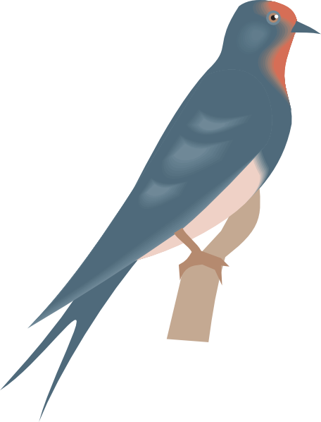Swallow Transparent PNG Image