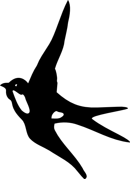Swallow Transparent PNG Image