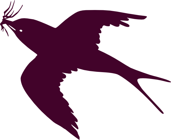 Swallow Transparent PNG Image