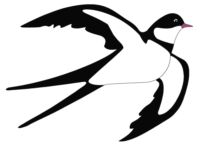 Swallow Transparent PNG Image