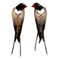 Swallows PNG