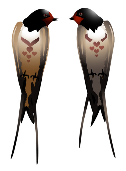 Swallows Transparent PNG Image