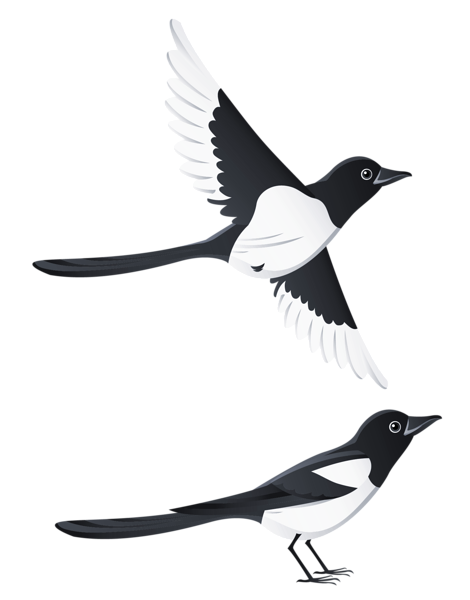 Swallows Transparent PNG Image