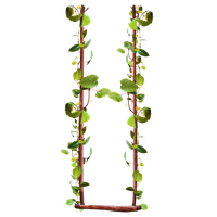 Swing PNG