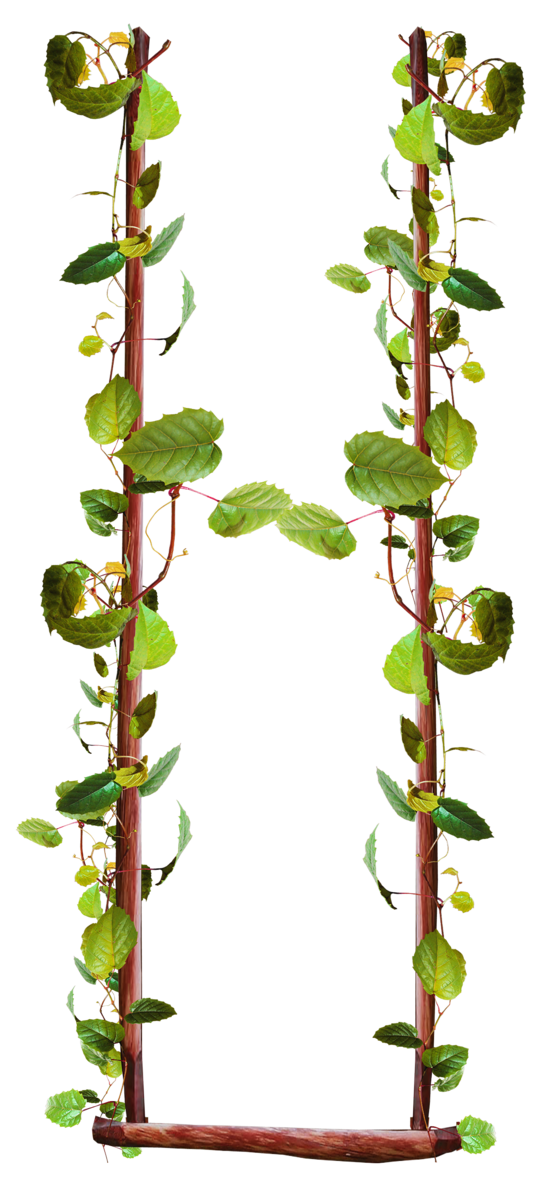 Swing Transparent PNG Image