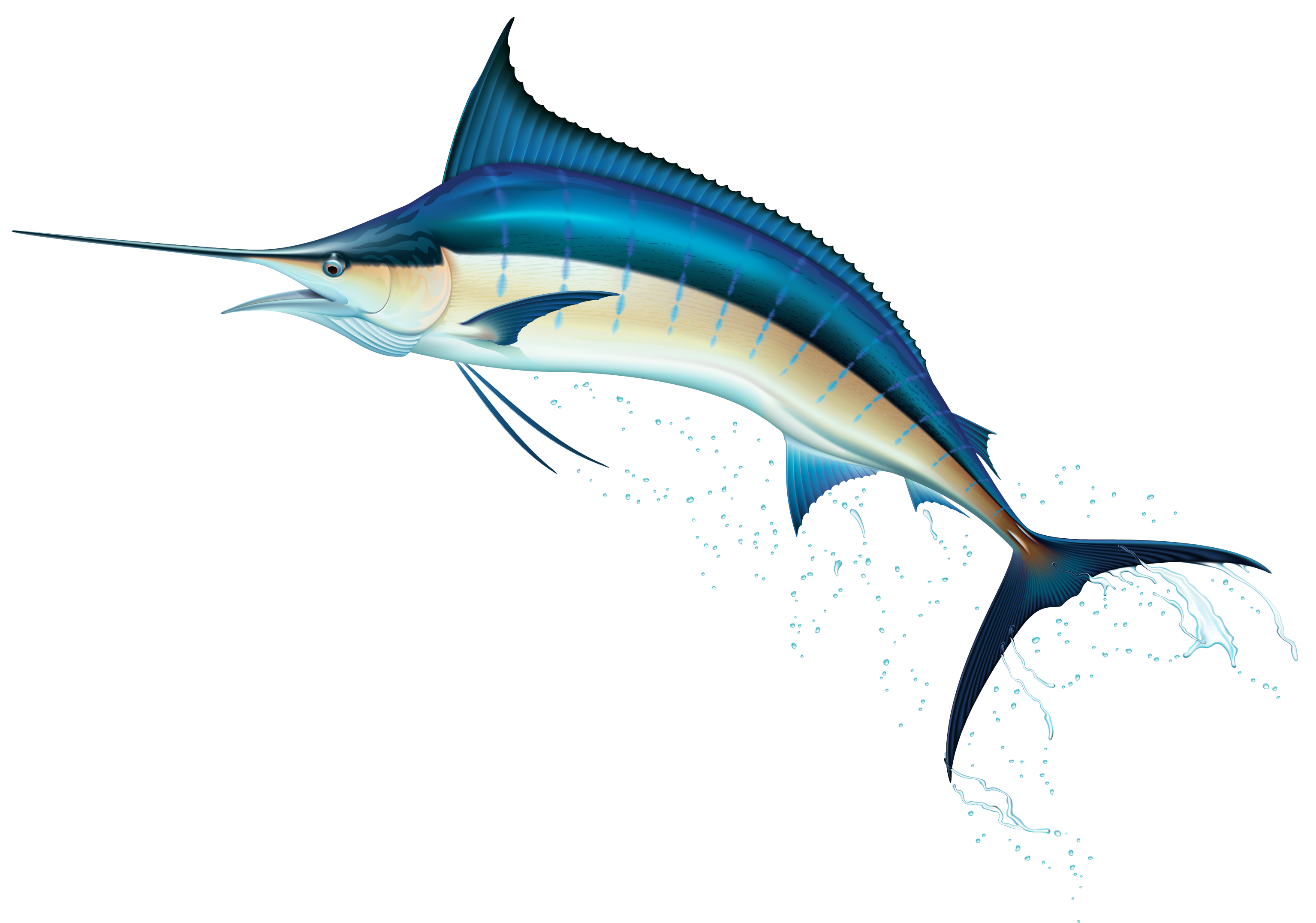 Swordfish Transparent PNG Image
