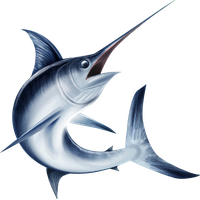 Swordfish PNG