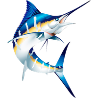 Swordfish PNG