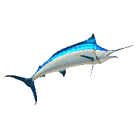 Swordfish PNG