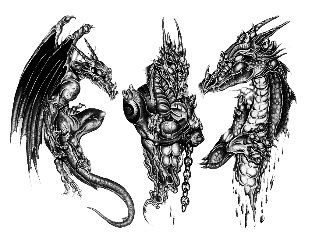 3D Dragon Tattoo Design Transparent HQ PNG Download FreePNGImg   36661 5 3d Dragon Tattoo Design 