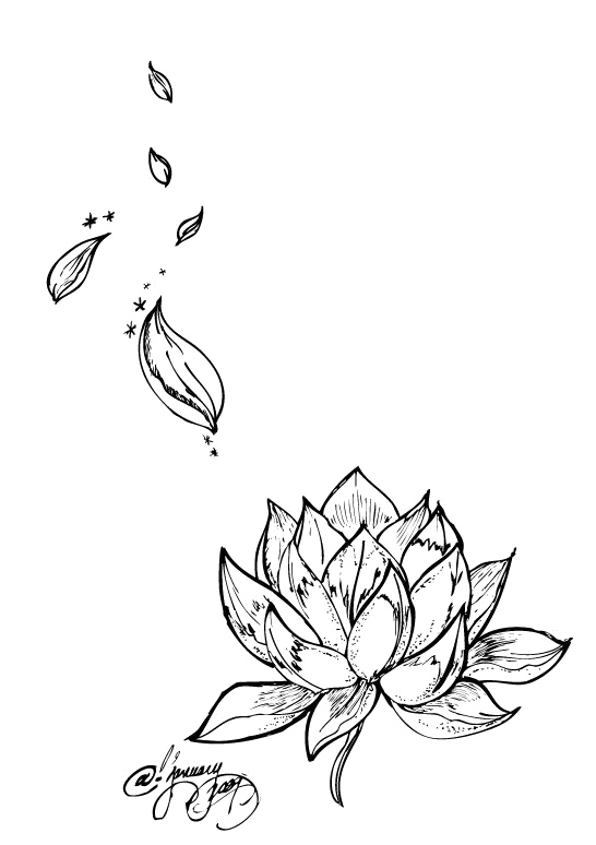 Tattoo Flower Nelumbo Nucifera Lotus Egyptian Drawing PNG Image