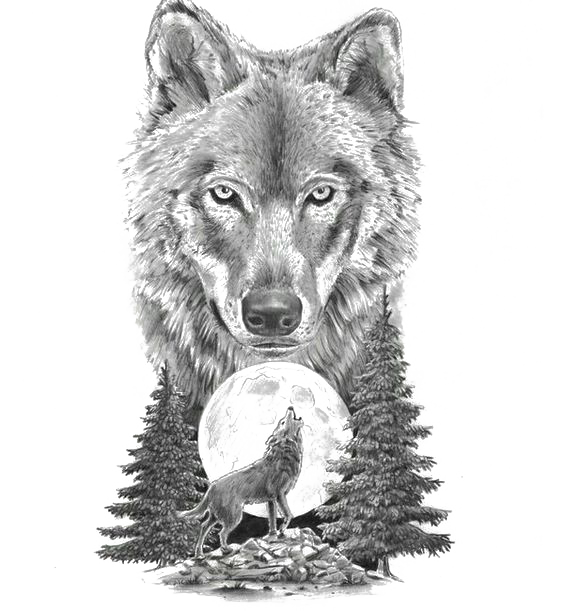 Gray Sketch Art Tattoo Artist Motion Wolf PNG Image