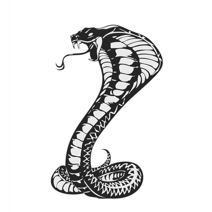 King Cobra Snakes Drawing