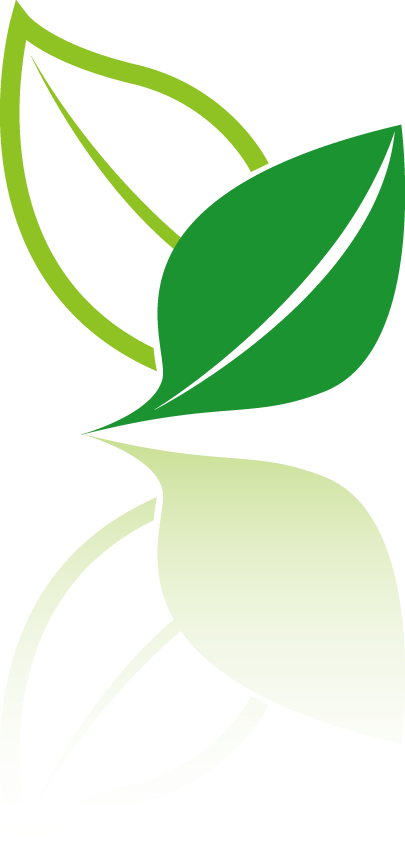 Leaf Tea Ideas Environmental Vector Design Logo PNG Image