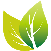 Download Tea Free PNG photo images and clipart | FreePNGImg