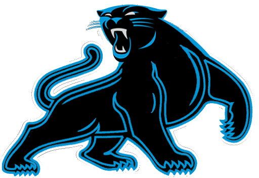 Picture Panthers Carolina PNG Image High Quality PNG Image