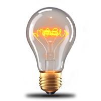 Light Bulb Free HQ Image PNG