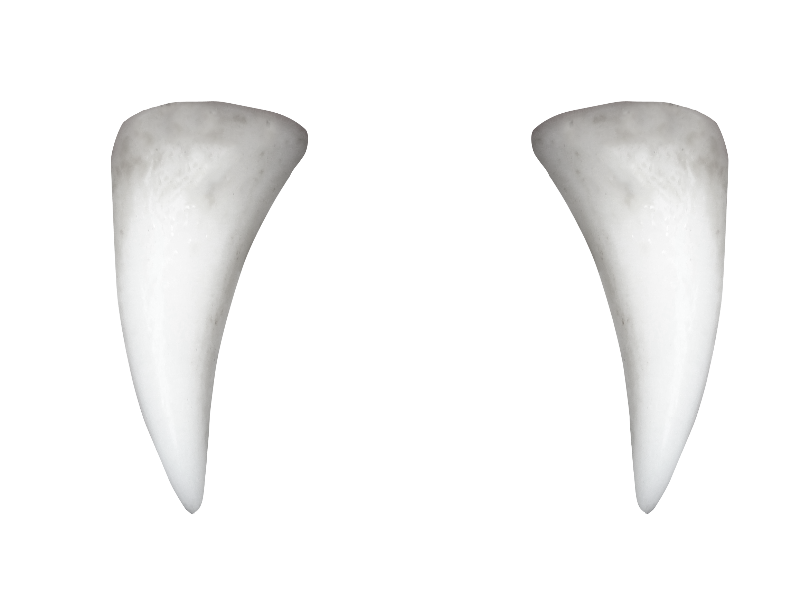 Pic Clean Tooth PNG Image High Quality PNG Image