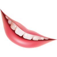Download Molar Free PNG photo images and clipart | FreePNGImg