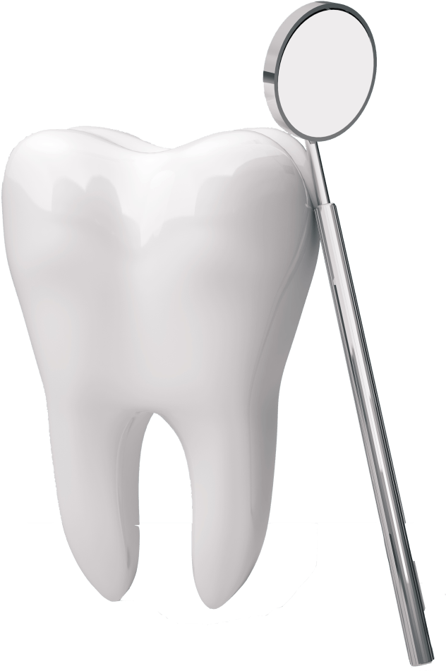 Tooth Free Transparent Image HD PNG Image