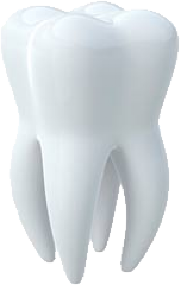 Picture White Tooth Free PNG HQ PNG Image