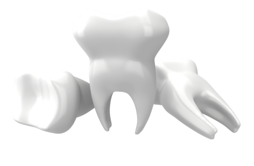 Teeths PNG Image