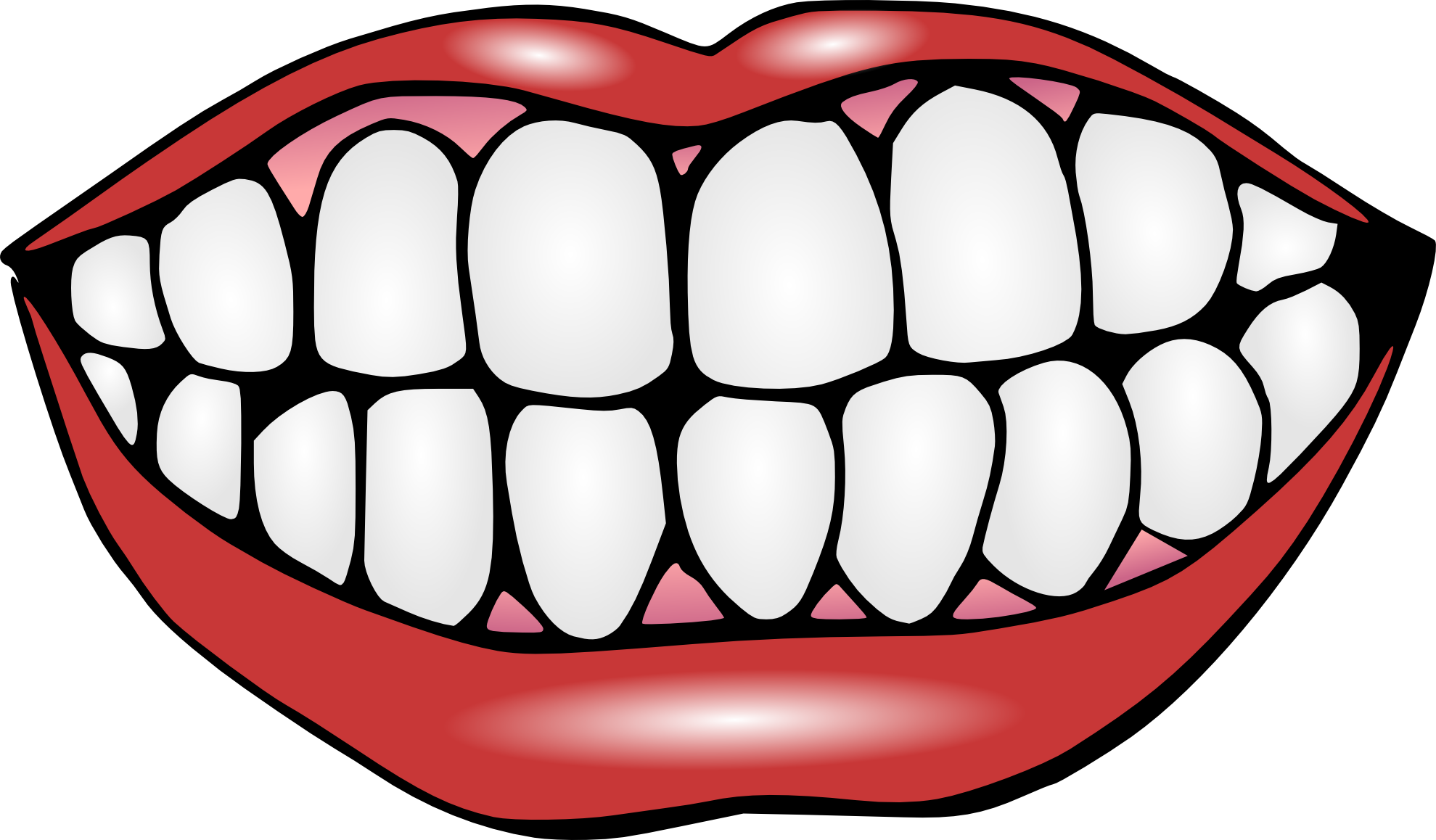 Teeth PNG Image