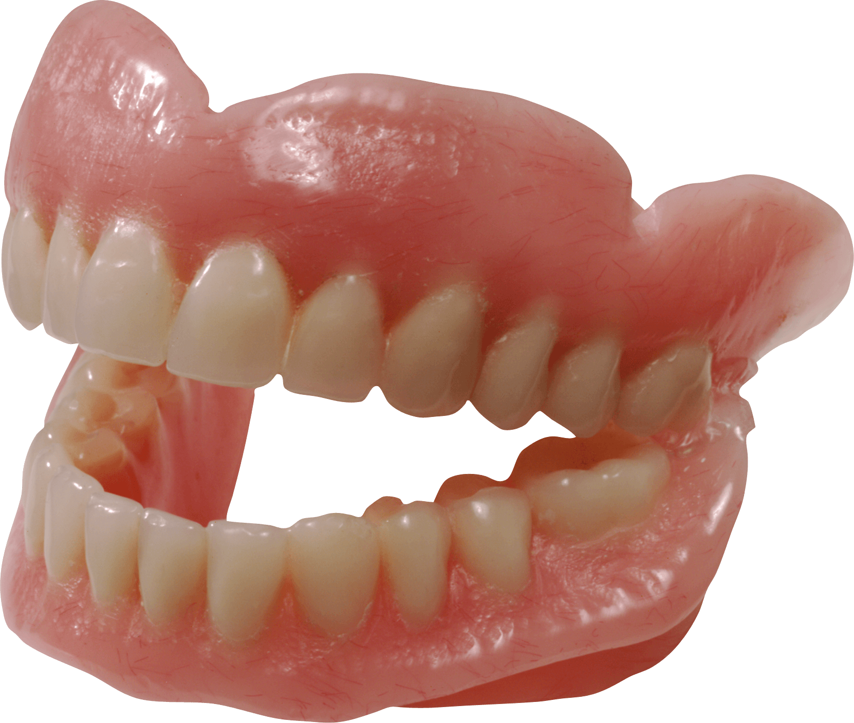 Teeth Png Image Transparent PNG Image