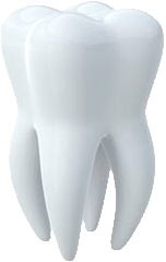 Tooth Png Image Transparent PNG Image