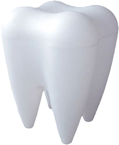 Tooth Png Image PNG Image