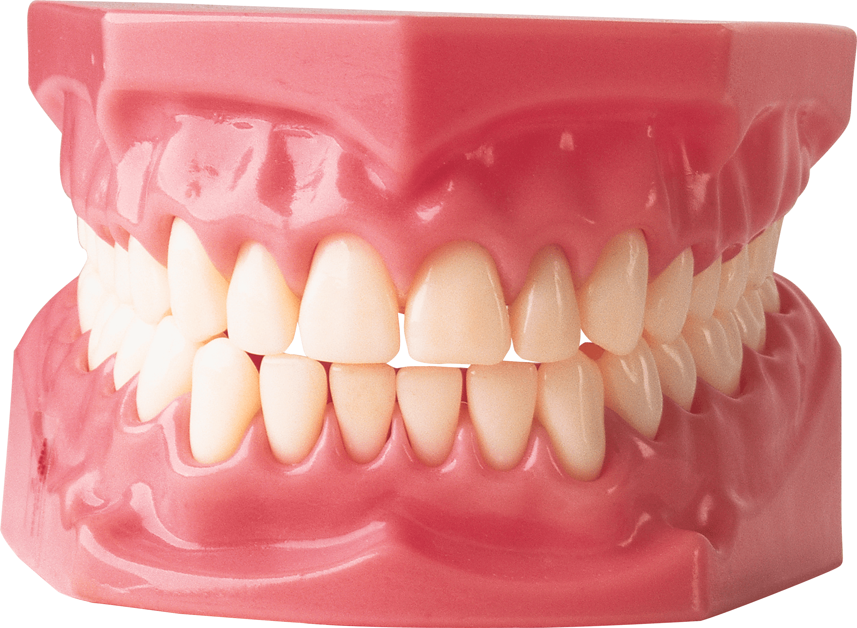 Teeth Png Image PNG Image