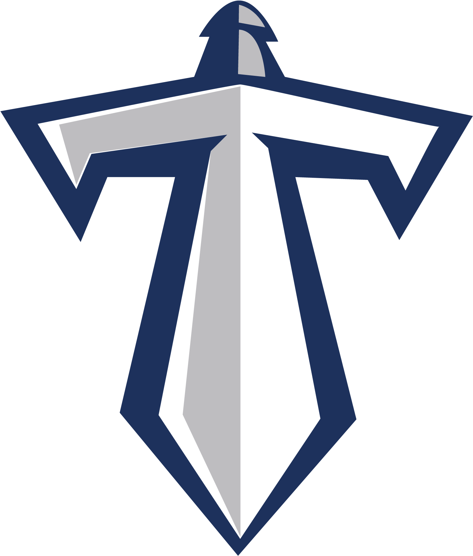 HD Tennessee Titans Backgrounds - 2023 NFL Football Wallpapers  Tennessee  titans football, Tennessee titans, Tennessee titans logo