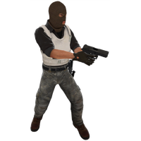 Terrorist