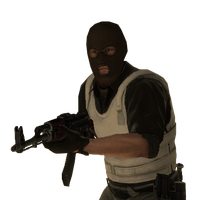 Terrorist