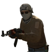 Terrorist
