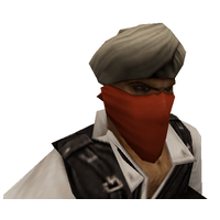 Terrorist PNG