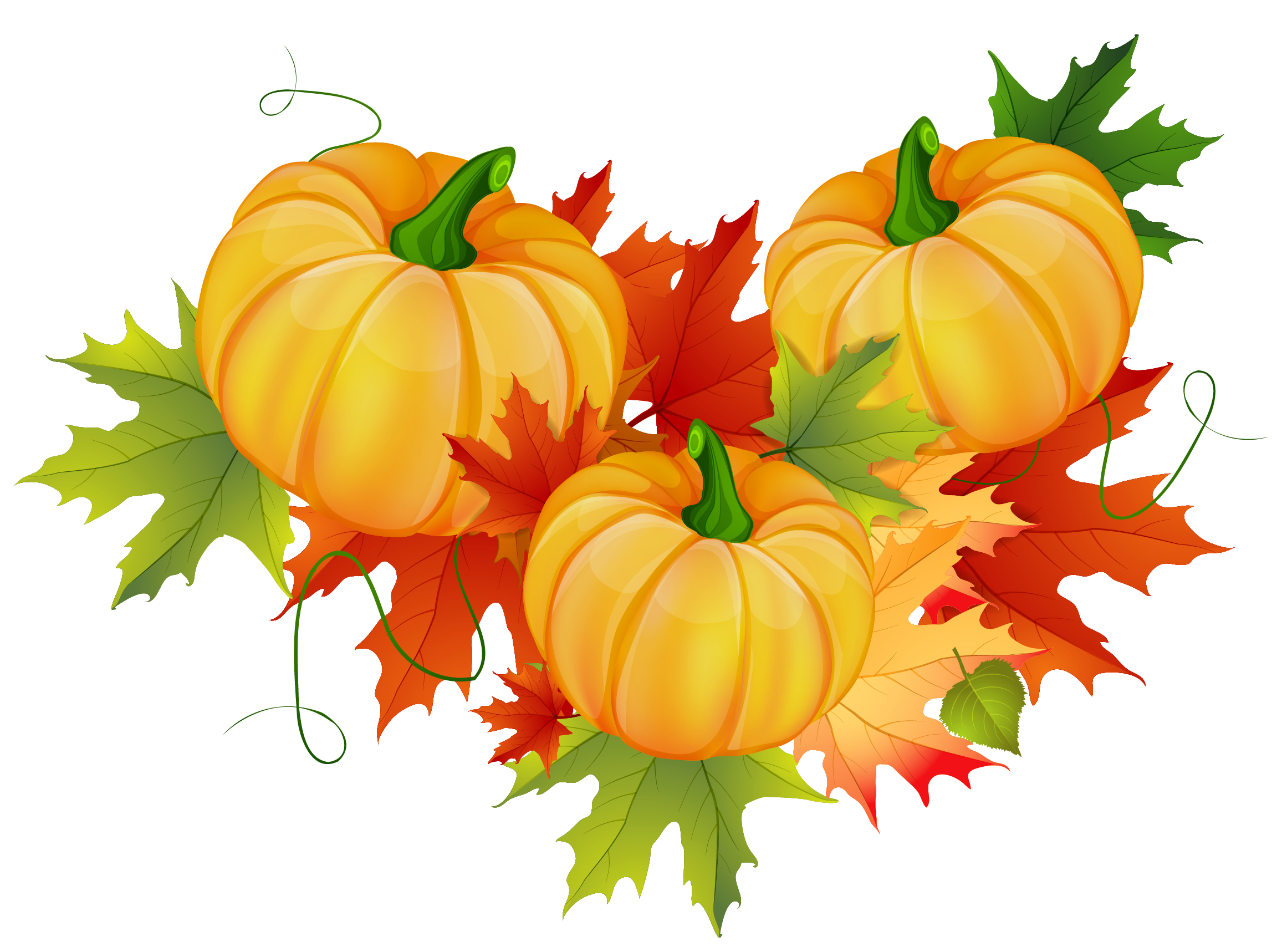 Thanksgiving Transparent PNG Image