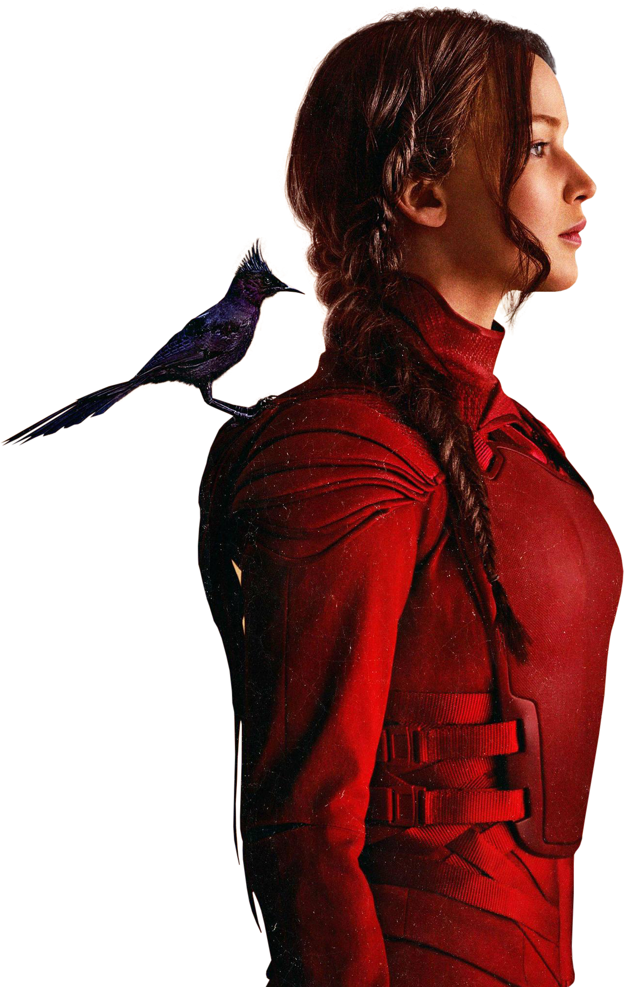 The Hunger Games Free Png Image Transparent PNG Image