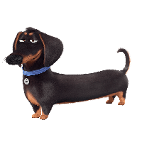 Download The Secret Life Of Pets Free PNG photo images and clipart ...