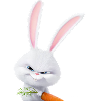 Life Pets Of Snowball Photos Secret Rabbit Transparent PNG Image