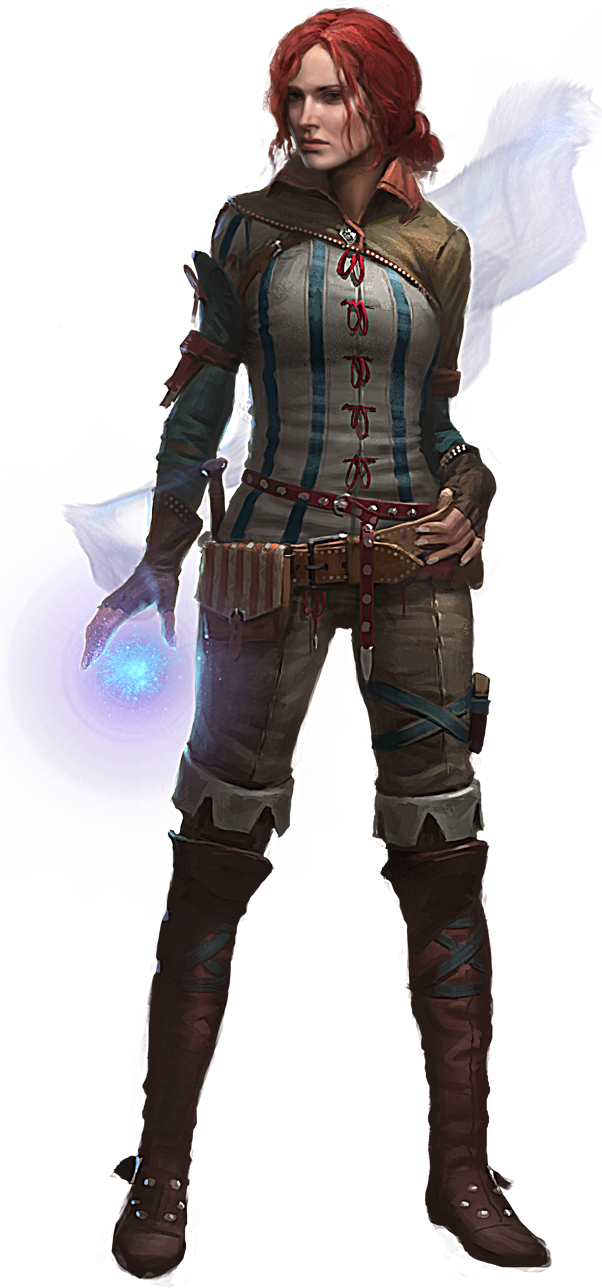 The Witcher Transparent Picture PNG Image