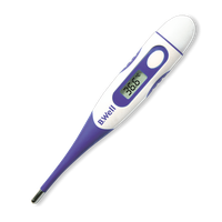 Thermometer PNG